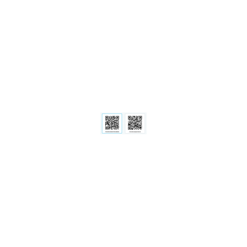 WIFI THERMOSTAT PT32 WIFI, GAS BOILERS, ELECTRO-BOILERS, CIRCULATORS